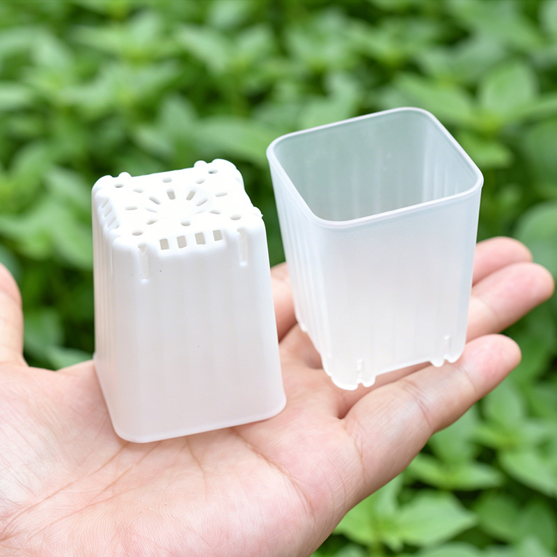 50-100Pcs 4cm Mini Thicken Whi - Food Storage Plants recension och pris