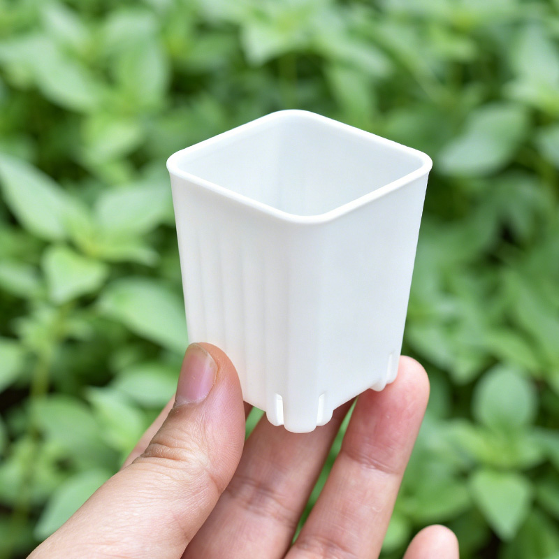 50-100Pcs 4cm Mini Thicken Whi - Food Storage Plants recension och pris