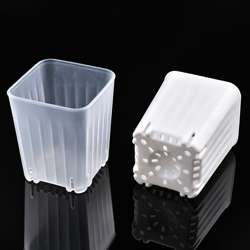 50-100Pcs 4cm Mini Thicken Whi - Food Storage Plants recension och pris