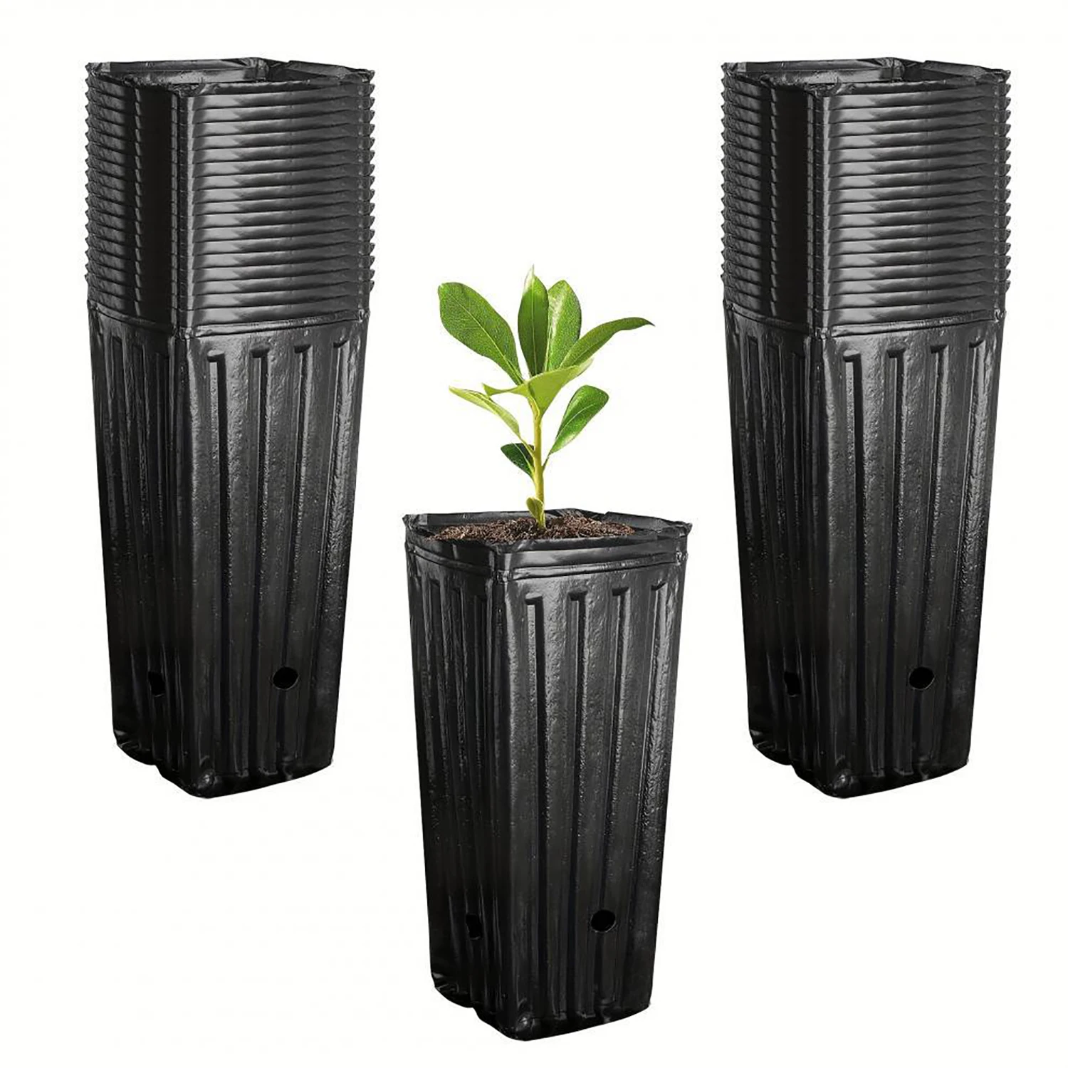 10Pcs Tall Square Plant Seedin - Food Storage Plants recension och pris