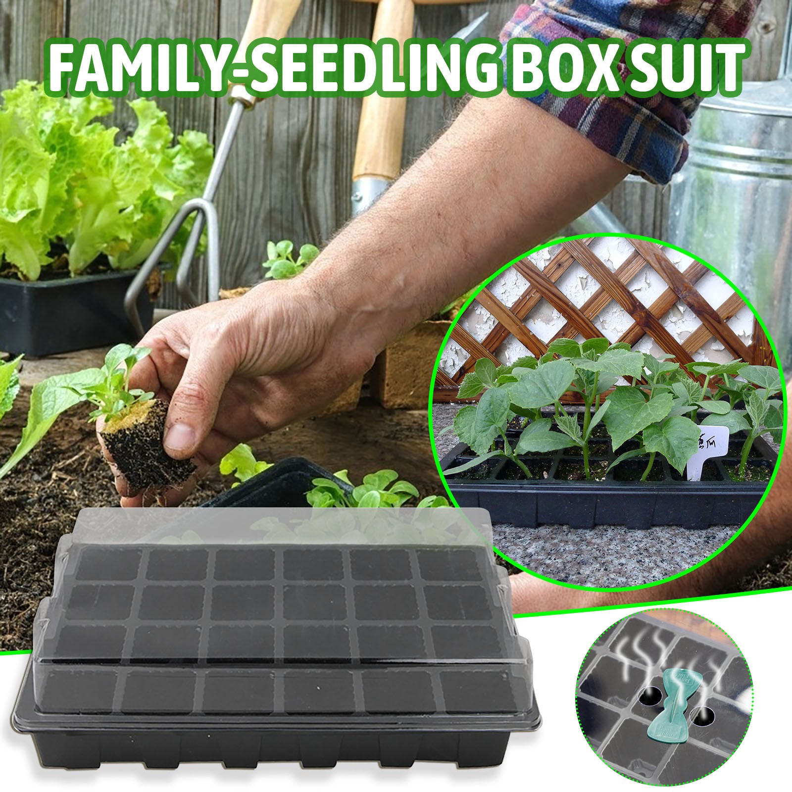 24 Cells Seedling Tray Germina - Food Storage Plants recension och pris