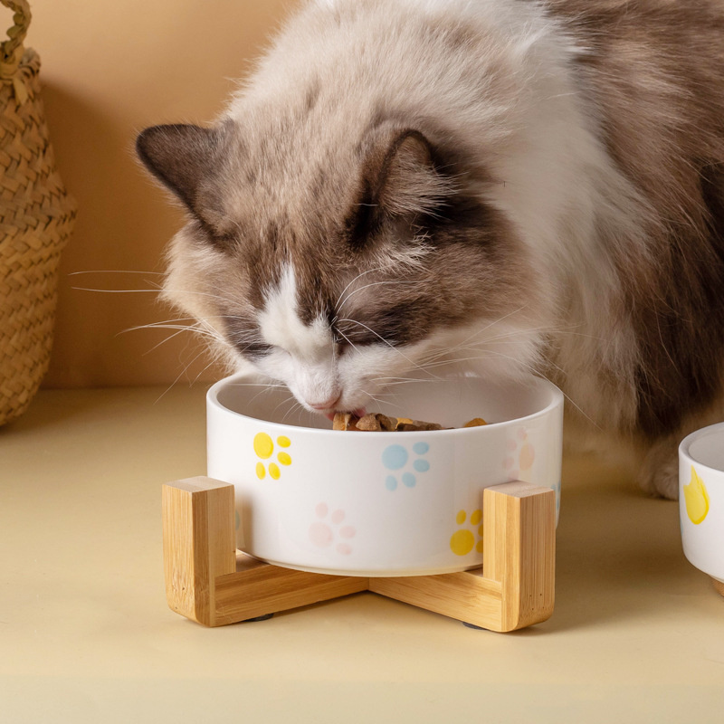 Ceramics Dog Bowl with Wood Ma - Food Storage Safety recension och pris
