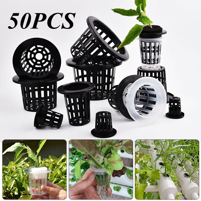50Pcs Black White Soilless Mes - Food Storage Plants recension och pris
