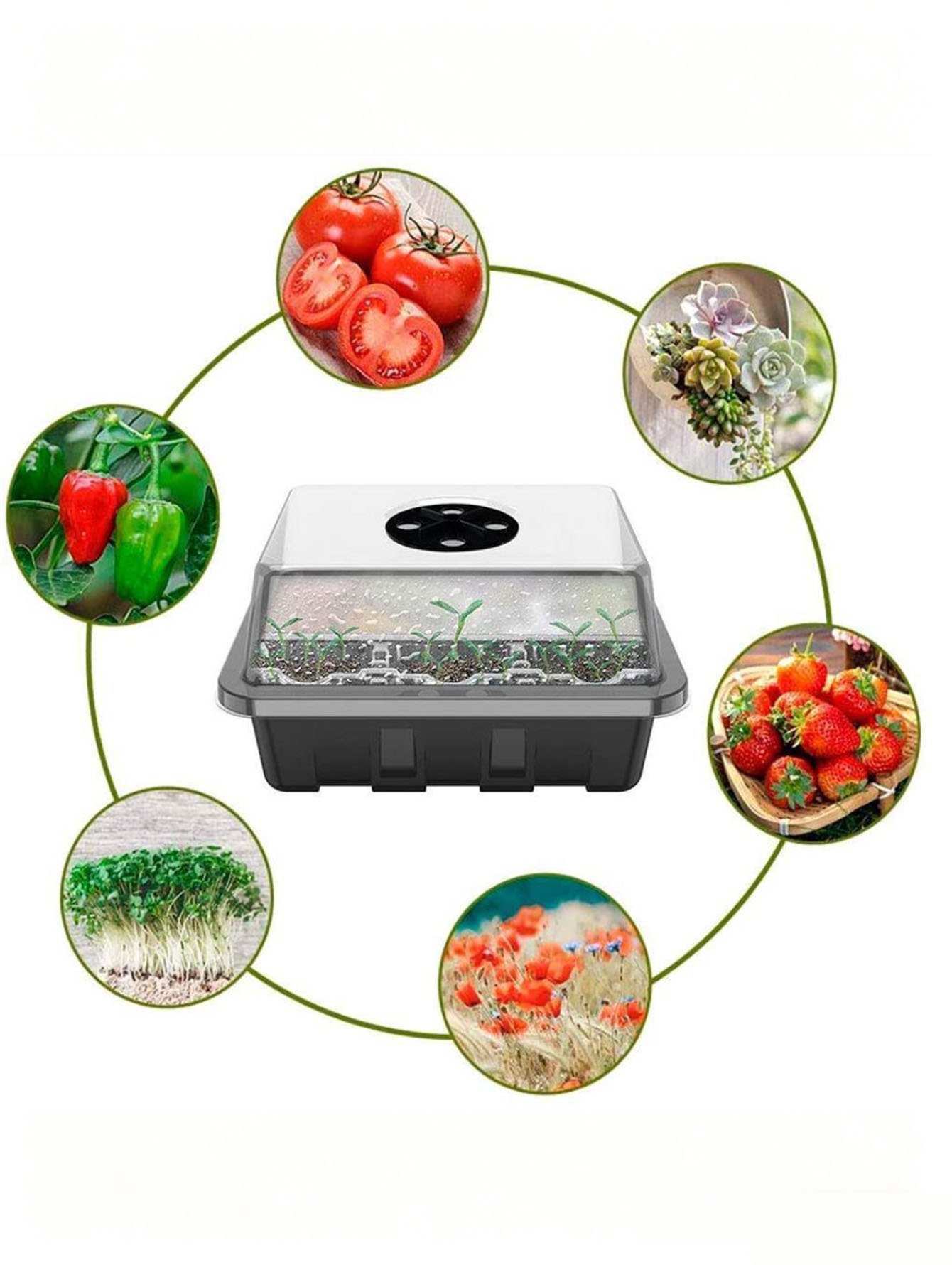 1/2pc 6/12-Hole Seedling Tray, - Food Storage Plants recension och pris