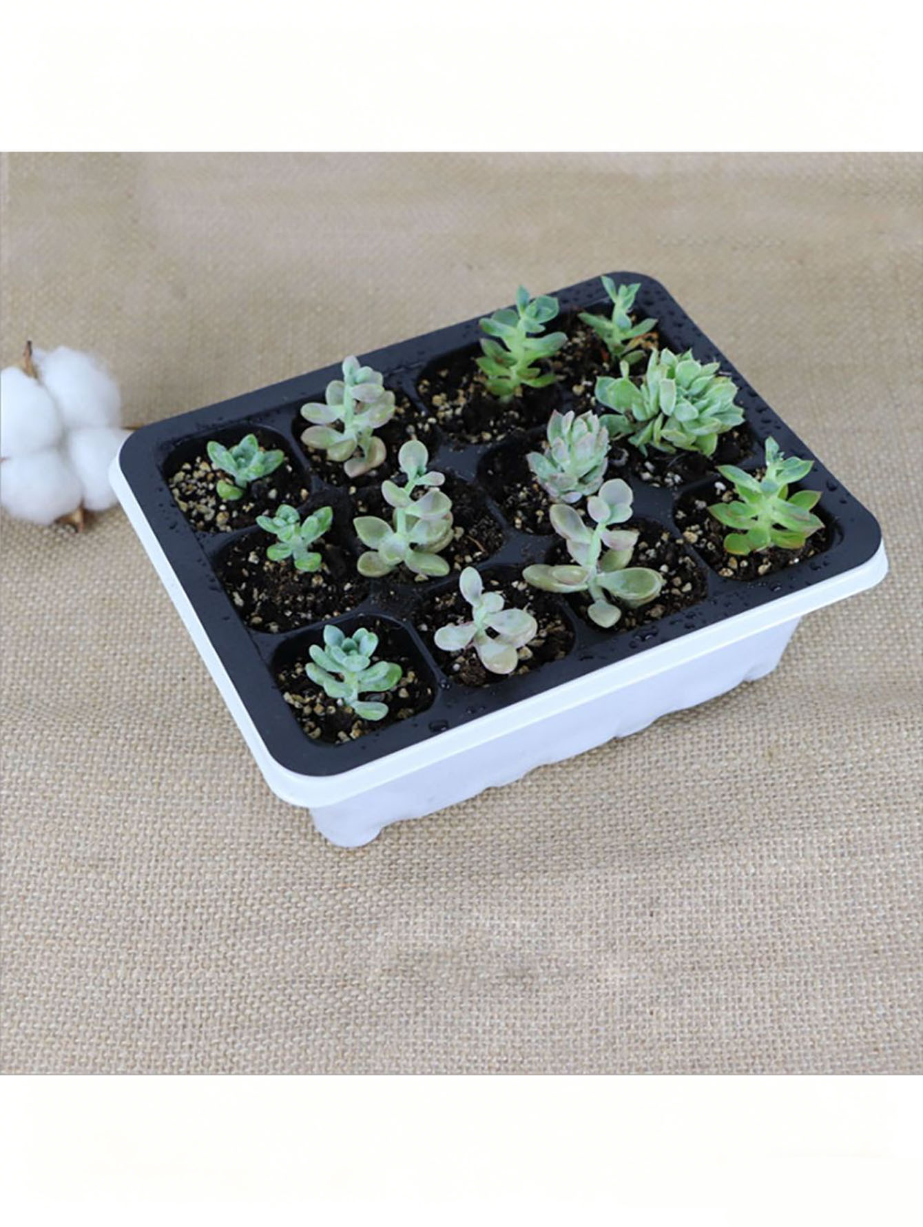 1/2pc 6/12-Hole Seedling Tray, - Food Storage Plants recension och pris