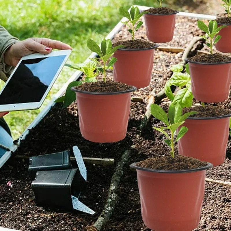 100/20x Seeding Nursery Pot Bl - Food Storage Plants recension och pris