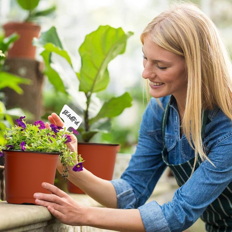 100/20x Seeding Nursery Pot Bl - Food Storage Plants recension och pris