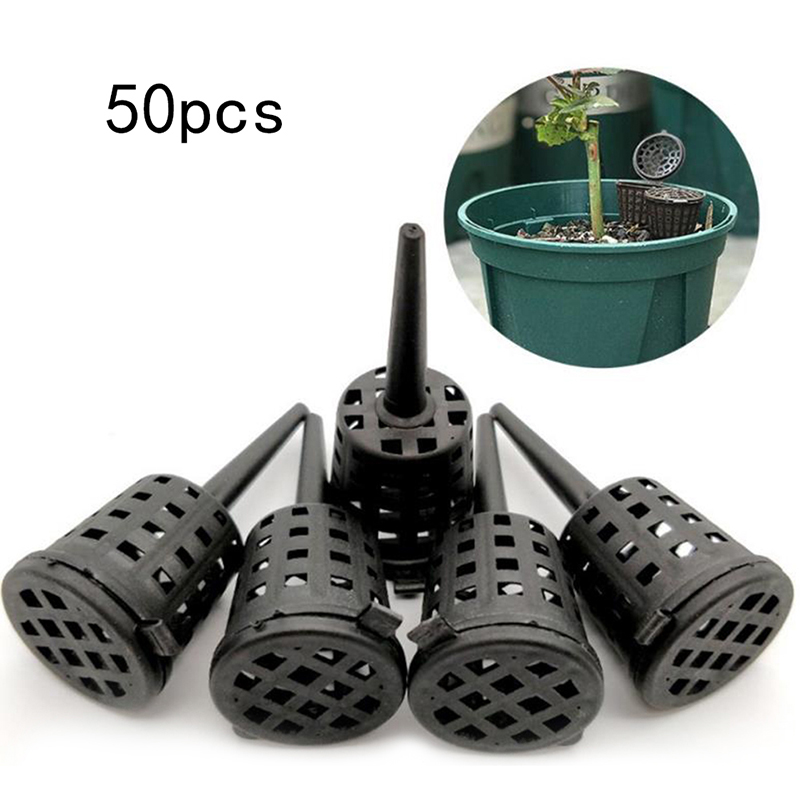 50 Pcs/pack Plants Fertilizer  - Food Storage Plants recension och pris